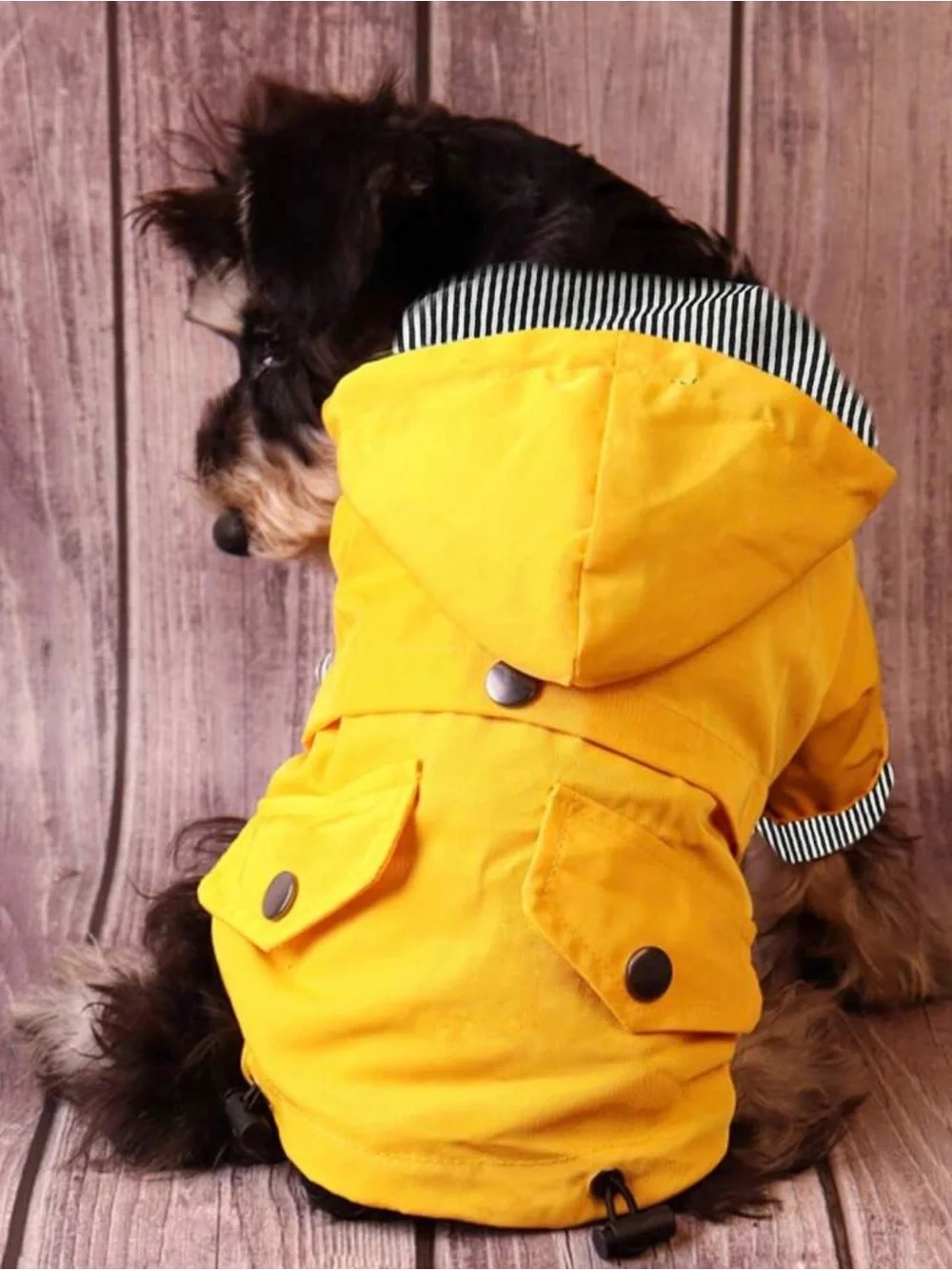 Dog Raincoat